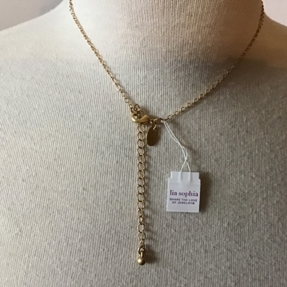 NWT Retired Lia Sophia “Waybridge” gold color necklace w/glittering enamel crest - Picture 7 of 12